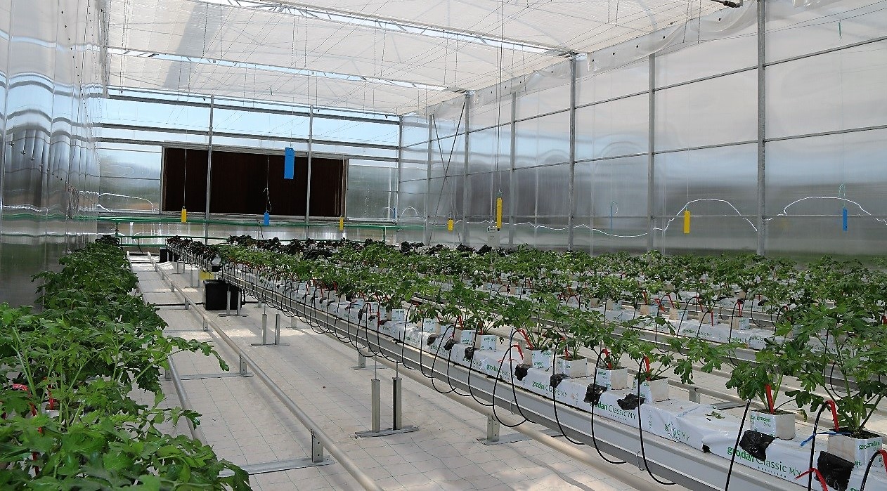 Thessaly open day 18-09-19 2