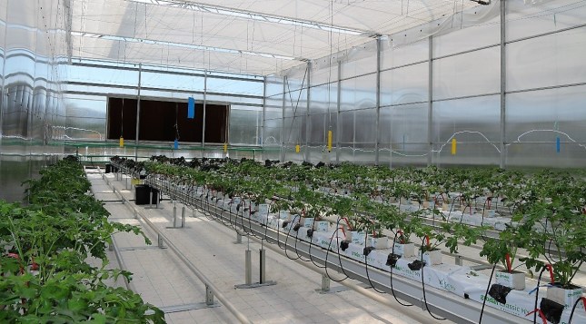 Thessaly open day 18-09-19 2