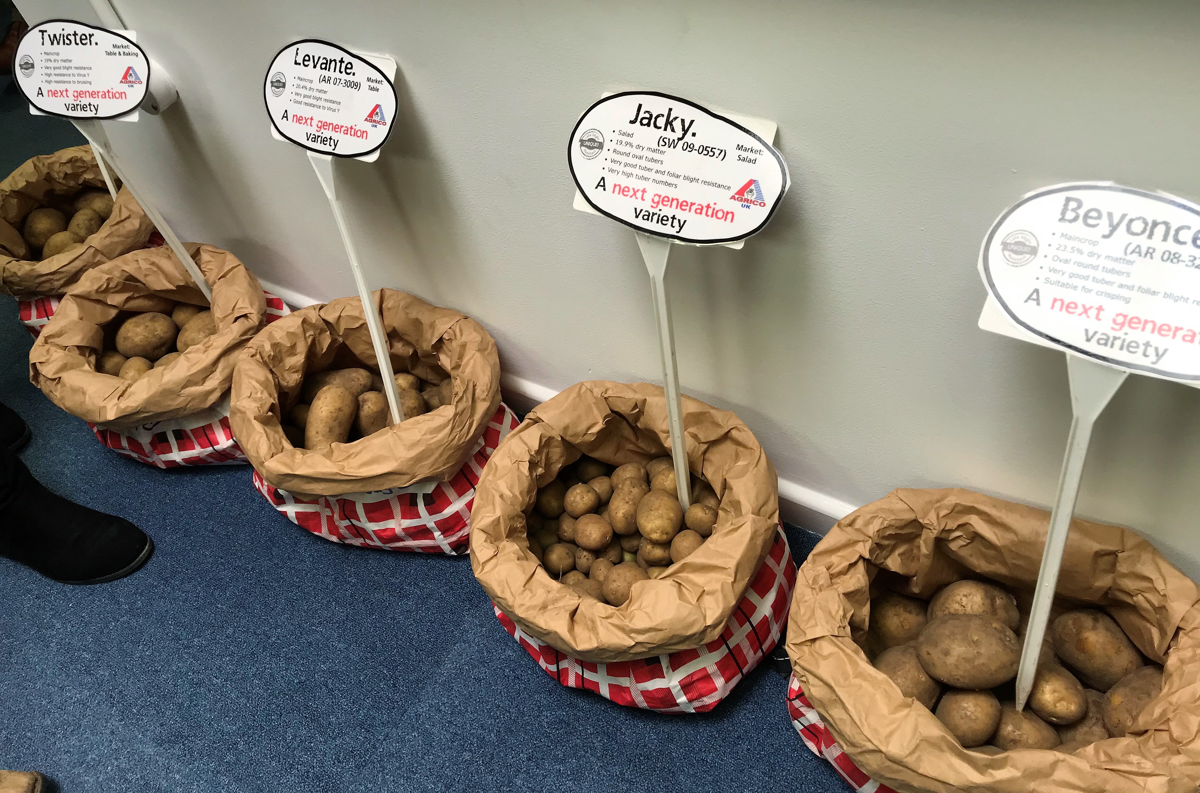 SA potato day Sept 2019 2